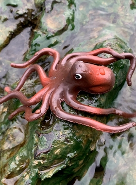 软胶仿真八爪鱼假小章鱼幼儿园儿童认知益智玩具静态海底动物模型