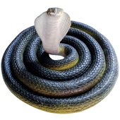 黑色软胶蛇眼镜蛇大号仿真蛇儿童玩具蛇吓人弹力假蛇动物模型摆件