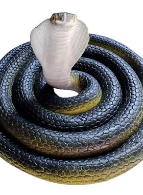 黑色软胶蛇眼镜蛇大号仿真蛇儿童玩具蛇吓人弹力假蛇动物模型摆件