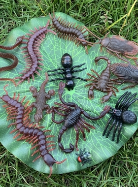 软胶蛇仿真蛇玩具吓人小蛇蜘蛛蚂蚁蝎子蟑螂苍蝇壁虎昆虫动物模型