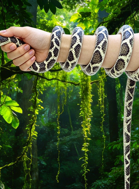 软胶蛇大小号仿真蛇幼儿园儿童玩具整蛊恶搞整人逼真假蛇动物模型