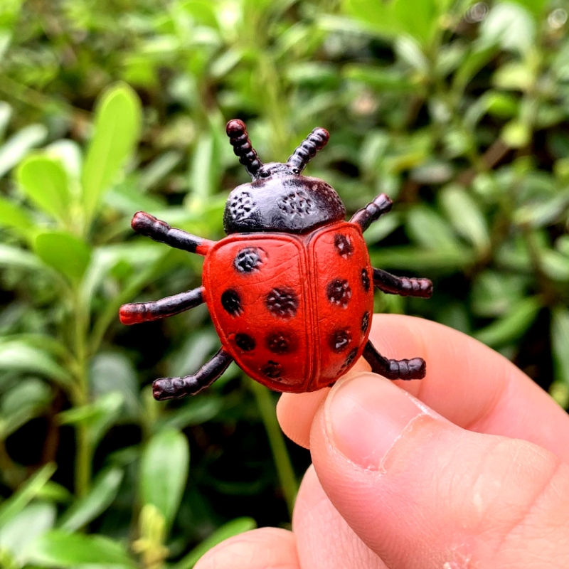 仿真瓢虫模型幼儿园益智认知动物