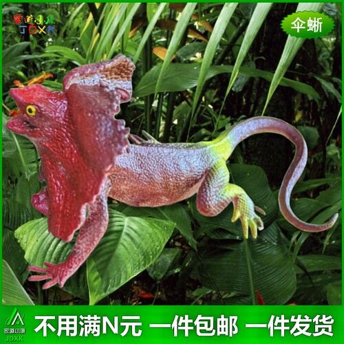 软胶仿真蜥蜴玩具恐龙套装包邮