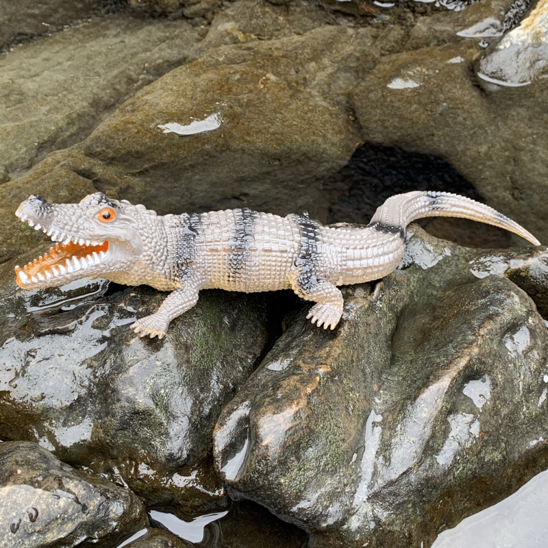 吓人幼儿园塑胶动物模型小鳄鱼