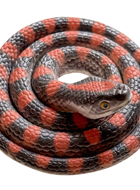 软胶蛇彩印仿真蛇眼镜蛇儿童过家家玩具小蛇吓人整蛊假蛇动物模型