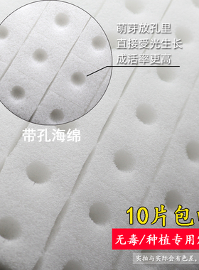 无土栽培方块种植海绵水培种菜大棚保湿棉叶菜固定育苗基质定植棉