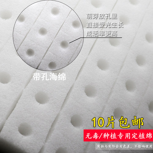 无土栽培海绵种菜大棚育苗基质