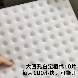 大棚基地学校无土栽培凹孔定植绵育苗种植海绵水培生菜草莓种菜棉