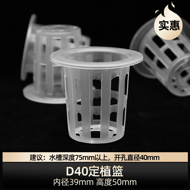 定植篮无土栽培种菜园艺用品