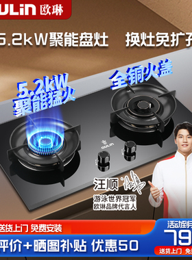 欧琳5.2KW大火力燃气灶聚能盘台嵌两用灶具底盘可调节免扩E3005B