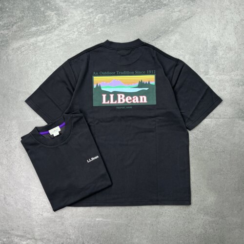 现货L.L.Bean Back Katahdin 25ss 限定卡塔丁山背后印花短袖T