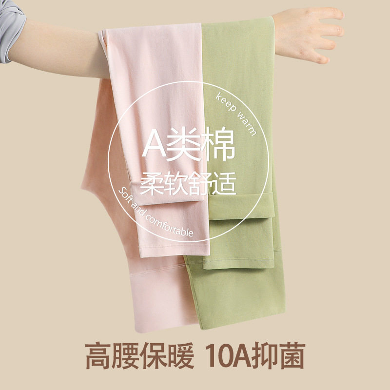 高腰纯棉秋裤女a类精梳棉10A抗菌秋冬女士收腹女生打底裤保暖裤