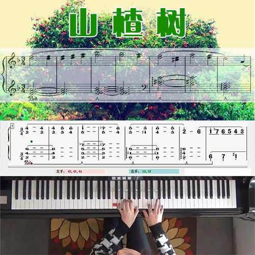 山楂树 五线谱简谱钢琴教学课程 悠秀