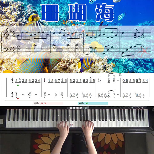 珊瑚海(周杰伦)_钢琴五线谱简谱教学课程