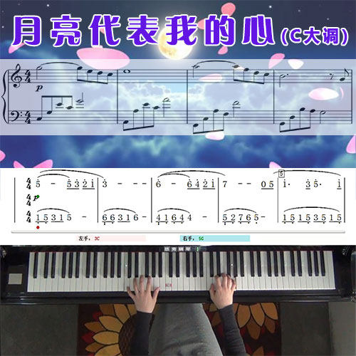 月亮代表我的心(C大调 邓丽君)钢琴简谱教学课程
