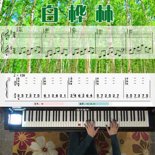 白桦林(朴树)五线谱简谱钢琴教学课程 悠秀
