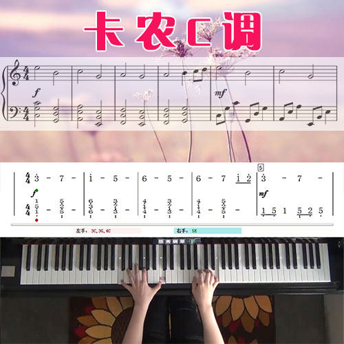 卡农C调 五线谱简谱钢琴教学课程 悠秀
