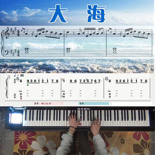 大海(张雨生)五线谱简谱钢琴教学课程 悠秀