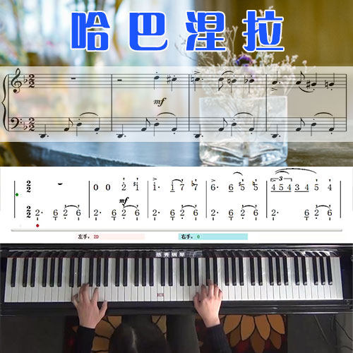 哈巴涅拉 五线谱简谱钢琴教学课程 悠秀