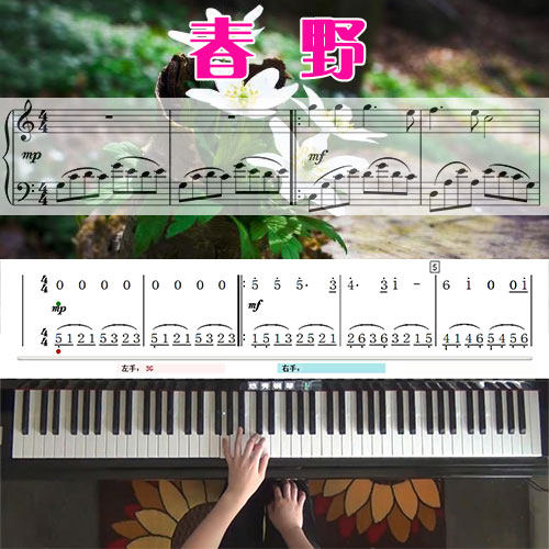 春野(班得瑞)五线谱简谱钢琴教学课程 悠秀