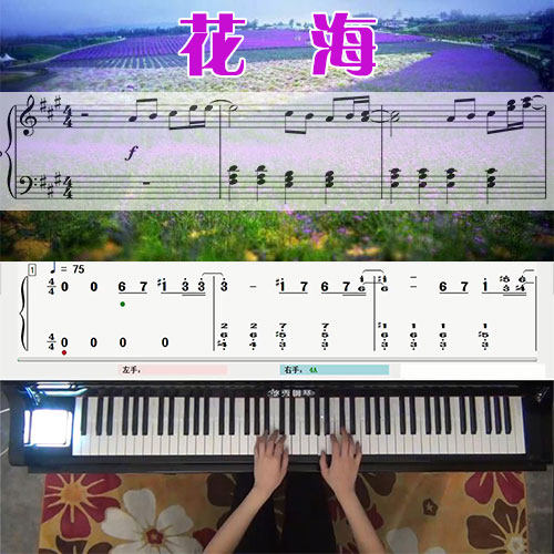 花海(周杰伦)五线谱简谱钢琴教学课程 悠秀