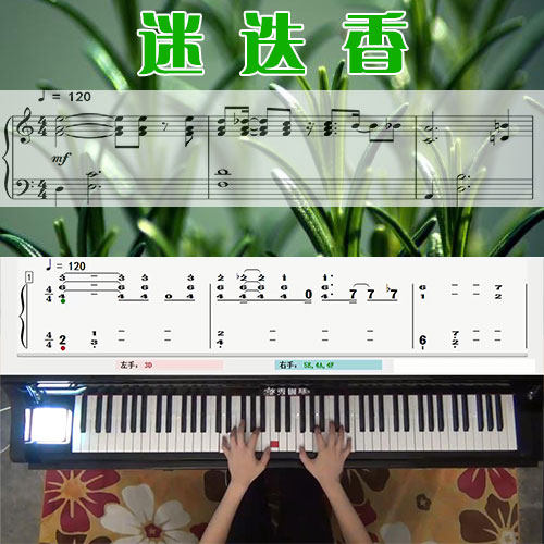迷迭香(周杰伦)五线谱简谱钢琴教学课程 悠秀