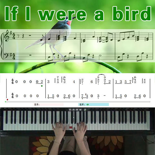 If I were a bird(CODE GEASS插曲)五线谱简谱钢琴教学课程悠秀