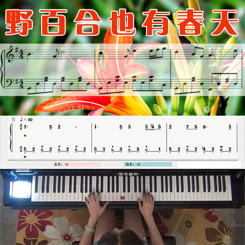 野百合也有春天(罗大佑)五线谱简谱钢琴教学课程 悠秀