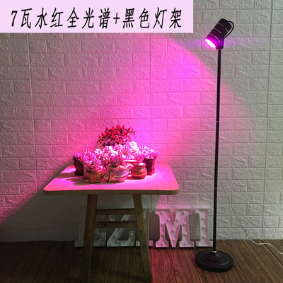 花卉植物灯全光谱植物补光灯仿太阳家用光合作用灯上色多肉光照q.