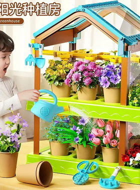 阳光花房儿童种植diy6科学实验套装小学生植物生长观察盒迷你种花
