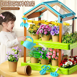 阳光花房儿童种植diy6科学实验套装 小学生植物生长观察盒迷你种花