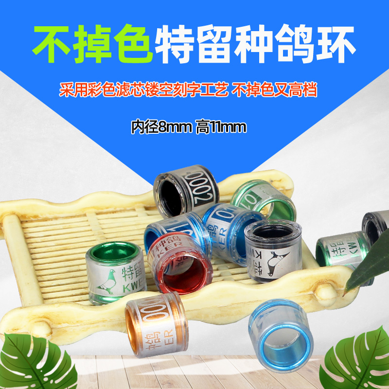不掉色信鸽鸽子特留种鸽环私环