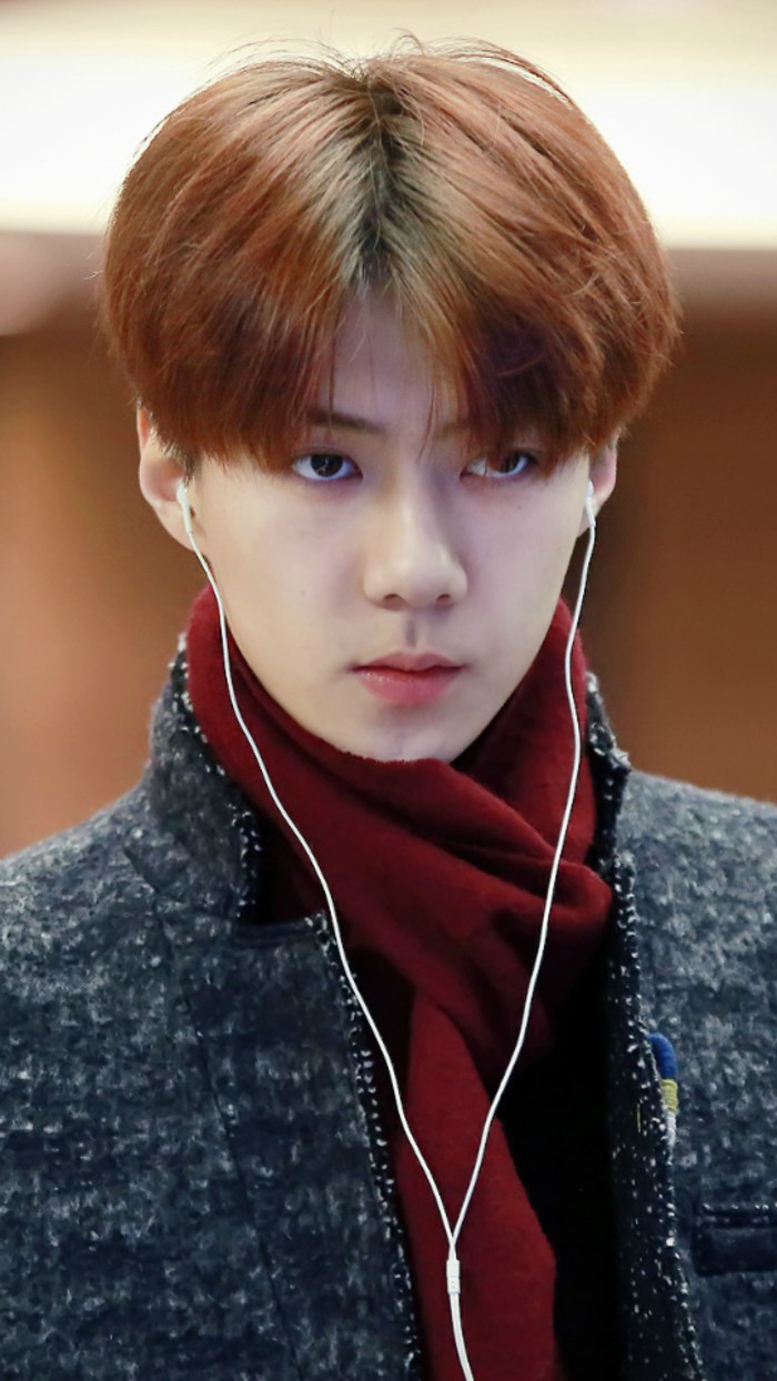 Perruque BASAWIG    cheveux raides Court - Ref 2613278 Image 3