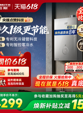 【1级能效新品】AO史密斯佳尼特无冷凝管16L小精钢燃气热水器TJE5