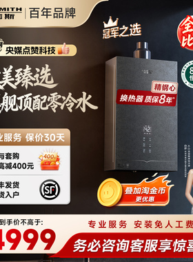【新品小精钢EJ5Wi】AO史密斯零冷水燃气热水器防眩玻璃面板轻音