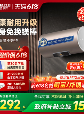 AO史密斯电热水器60/80升ED3免换镁棒速热家用100升ED8一级能效