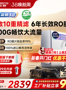 A.O.史密斯佳尼特大流量厨下直饮净水器蓝鲸CR2500AE1