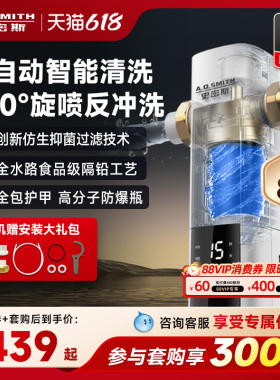 A.O.史密斯 家用自来水过滤器 精钢滤网直冲式前置净水器 PF-DA1