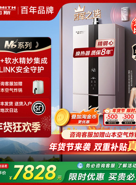 [老爸测评同款]AO史密斯MS系列燃气精钢热水器软水美容智能RSCD