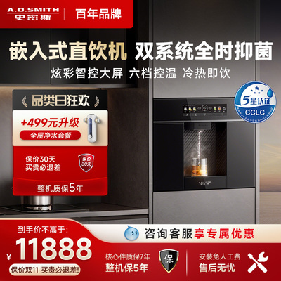 A.O.史密斯嵌入式直饮家用冷热一体加热饮水机ER1600BWi净水器