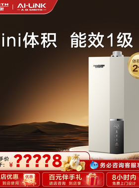 【门店在售】AO史密斯燃气壁挂炉天然气家用采暖小巧冷凝锅炉E10M