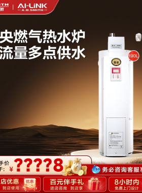 【门店在售】AO史密斯家用燃气中央热水炉落地炉热水器EMGP-50C