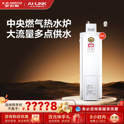 A.O.史密斯燃气家庭中央热水炉