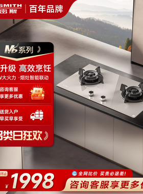 [MS系列]AO史密斯灶具5kW大火力燃气灶1级能效钢化玻璃F3B2T家用