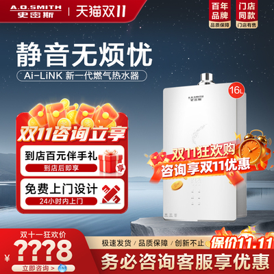 史密斯燃气热水器JSQ31-FJSWi