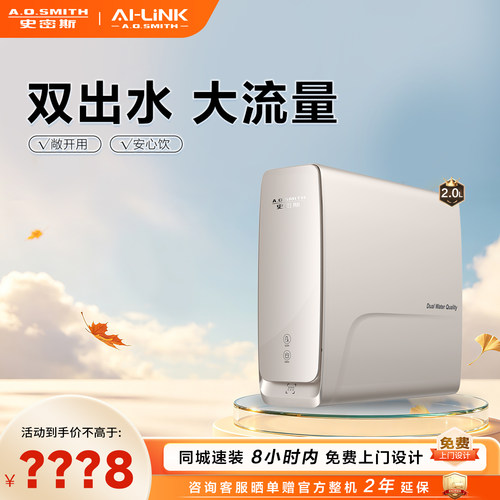史密斯门店在售双出水净水机