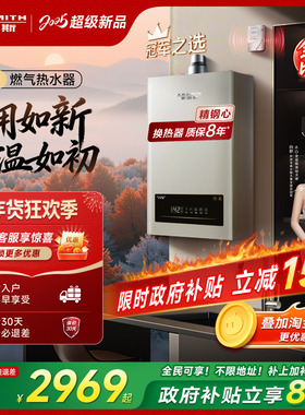 【爆款TM5升级】AO史密斯家用小精钢燃气热水器13/16升EC3恒温