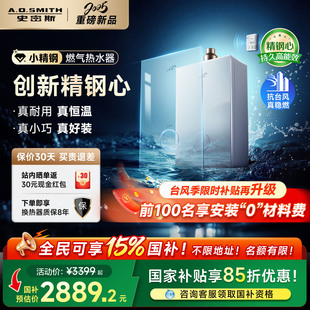 AO史密斯佳尼特小精钢燃气热水器16升玻璃面板TCS5 国补15% 新品