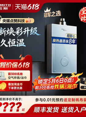 【小精钢TCS5】AO史密斯佳尼特耐用恒温安静燃气热水器TCA1/PC0