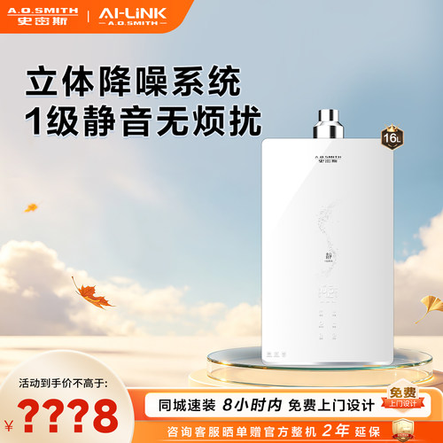 史密斯燃气热水器JSQ31-FJSWi